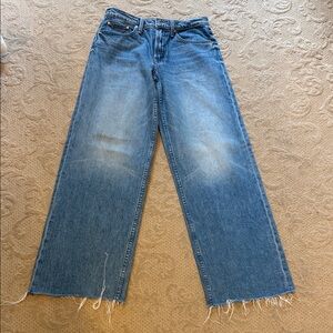 MOTHER Blue Denim Down Low Spinner - Love Line